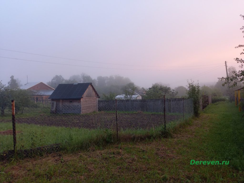 Вечерний туман в деревне
